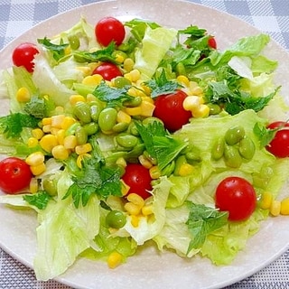 大葉香る♡枝豆コーンレタスのサラダ